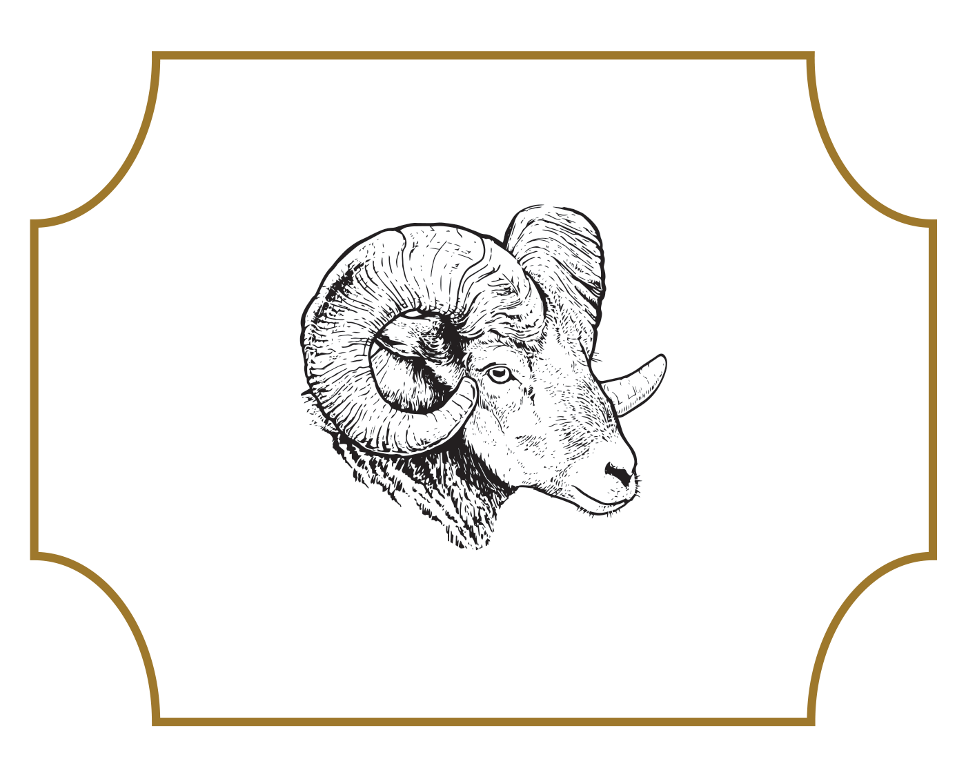 50th anniversary logo